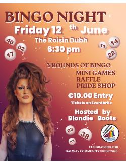 Bingo Night Fundraiser for Galway Community Pride @ Róisín Dubh