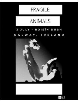 Fragile Animals @ Róisín Dubh (Top Bar)